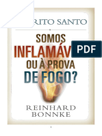 Reinhard Bonnke - Espírito Santo (Somos Inflamaveis Ou À Prova de Fogo) 59 Páginas