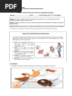 5° Básico Ciencias Naturales Guía Niveles de Organización Biológica
