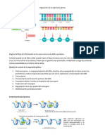 Regulación de La Expresión Génica