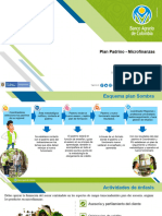 Plan Padrino - Microfinanzas
