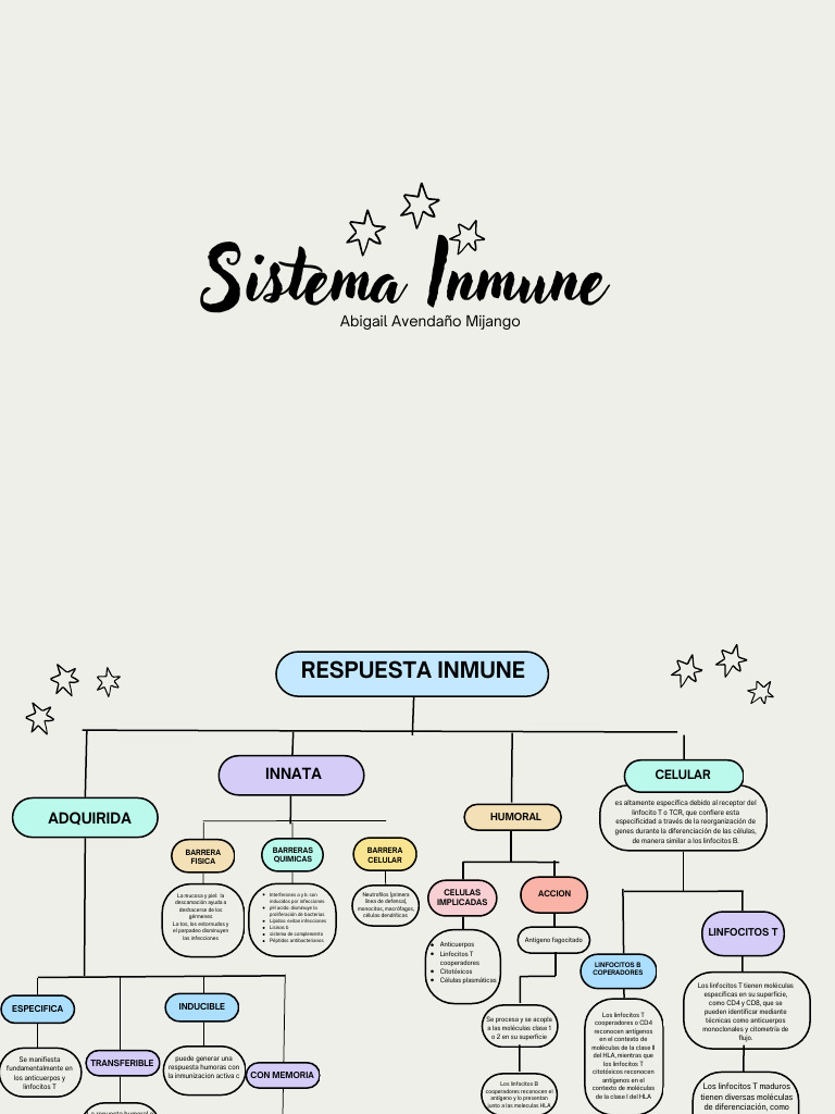 Sistema Inmune | PDF | Célula T | Linfocitos