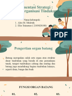 Anatomi Morfologi Tumbuhan KLP 5