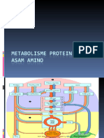 Metabolisme Asam Amino-13