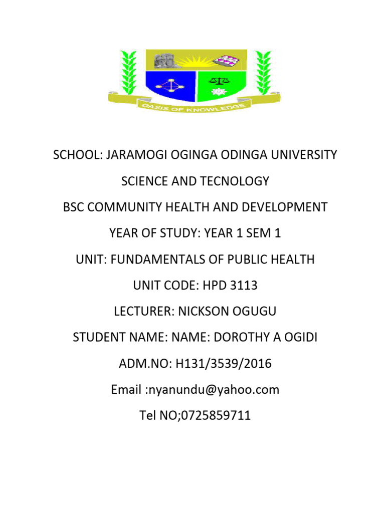 Health Promotion Strategies Overview | PDF | Health Promotion ...