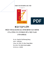 Bài Tập Lớn: Phân Tích, Đánh Giá Tình Hình Tài Chính Của Công Ty Cổ Phần Sữa Việt Nam (Vinamilk)