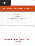 Hexose Monophosphate Shunt