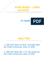 Lec11.s3.9.md. Huyet Vung Bung, Lung, Chi Duoi