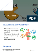 Enzymes Presentation