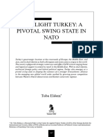 Spotlight Turkey_ a Pivotal Swing State in Nato