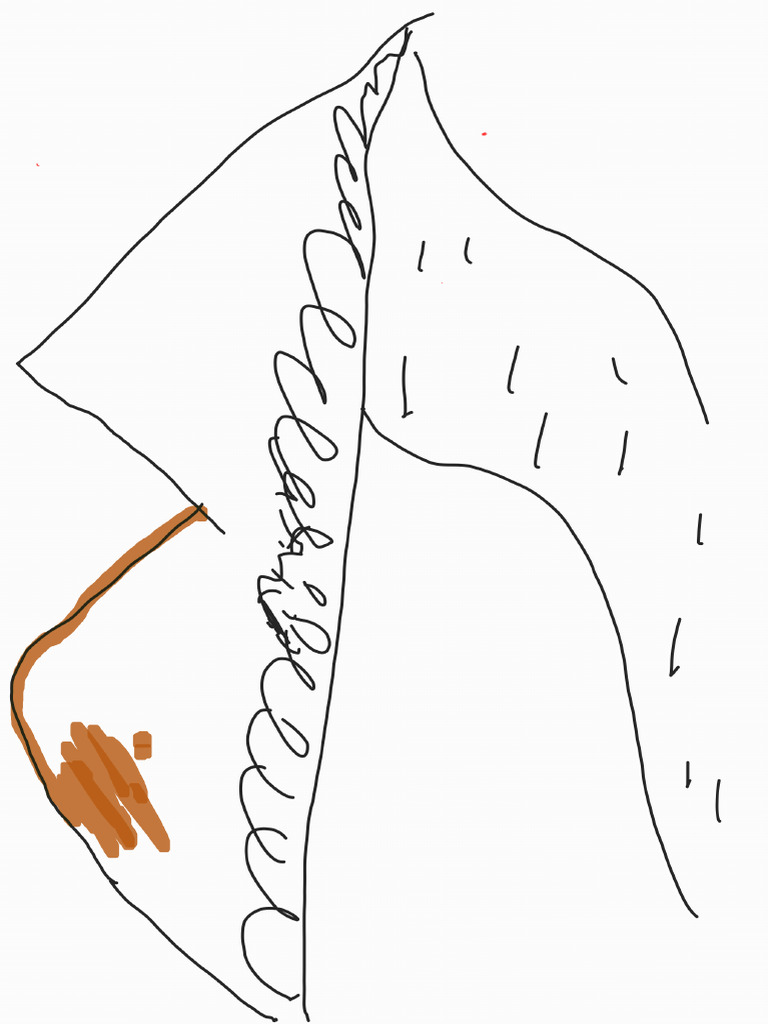 Mountain tutorial pdf