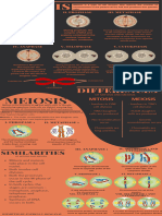 Mitosis and Meiosis Infograph