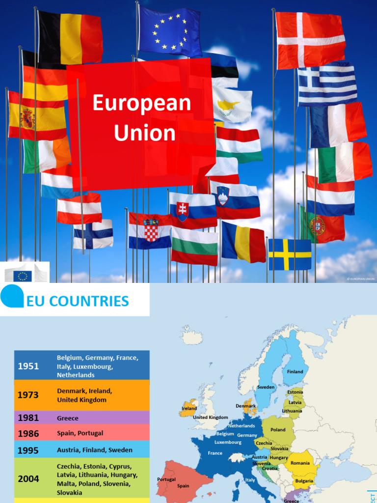 Overview of the European Union Structure | PDF | European Union | Eurozone