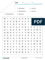 plants-cell-structure-wordsearch