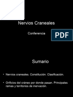 Conferencia Orientadora 5 Nervios Craneales