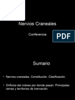 Conferencia Orientadora 5   Nervios craneales