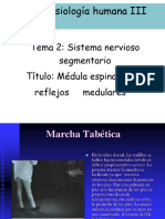 Conferencia Orientadora 3 Médula Espinal y Reflejos Medulares