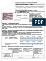 Activité 3 TP Enzymes