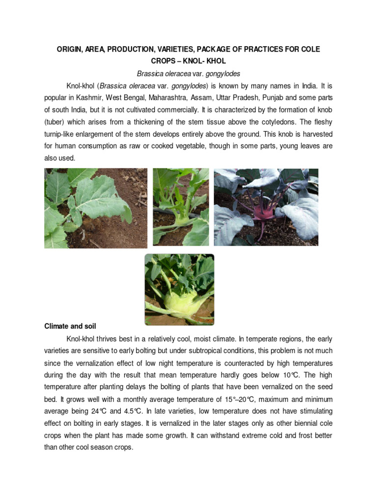 Knol-Khol Cultivation in India | PDF
