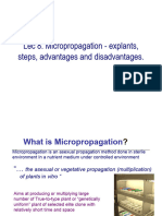 Lec 8. Micropropogation-1