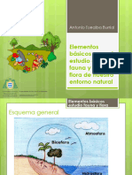 Tema 3. Flora y fauna