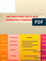 Med_Odonto_METABOLISMO_DELLE_BASI_PURINICHE_E_PIRIMIDINICHE