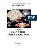 (Giáo Trình Học)Giải Phẫu - Pgs. Mai Văn Thìn Thần Kinh_bụng_ngực (1)