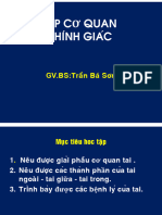 05. Bg- Gp Co Quan Thinh Giác 22. Bss (1)