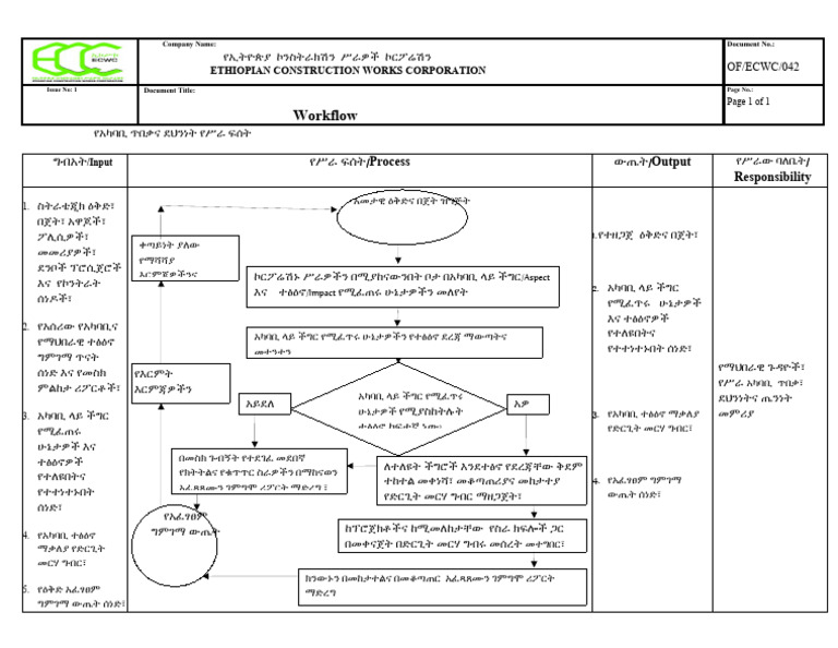 Environmental Work Flow | PDF