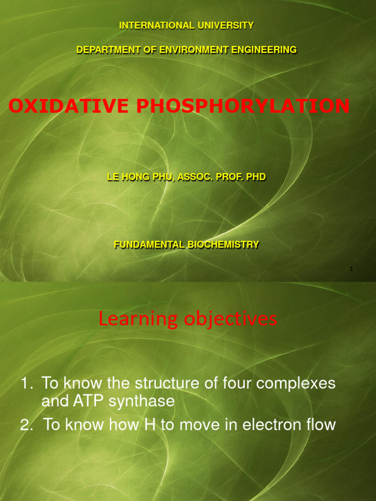 Oxidative Phosphorylation Overview | PDF | Electron Transport Chain ...