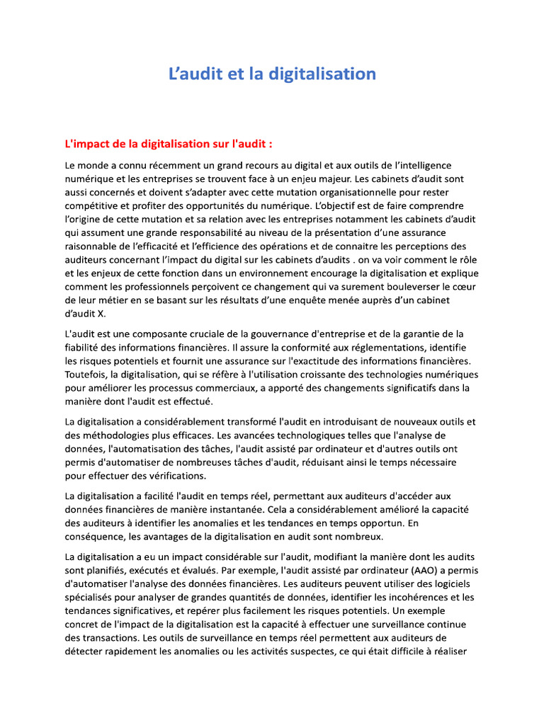 Audit Et Digitalisation | PDF