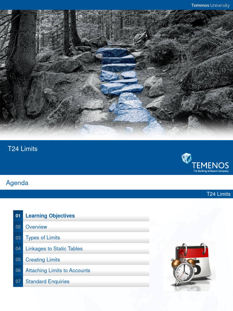 Understanding T24 Limits in Banking | PDF | Copyright | Loans