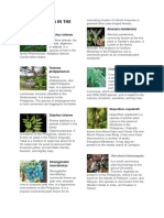 PRINT-2-PLANTS (2)