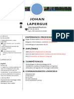 CV JOHAN LAPERGUE Corrigé