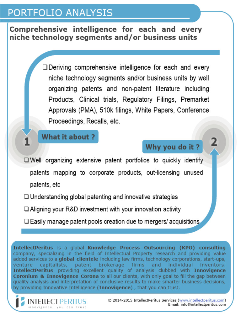 Portfolio Analysis | PDF | Patent | Consultant