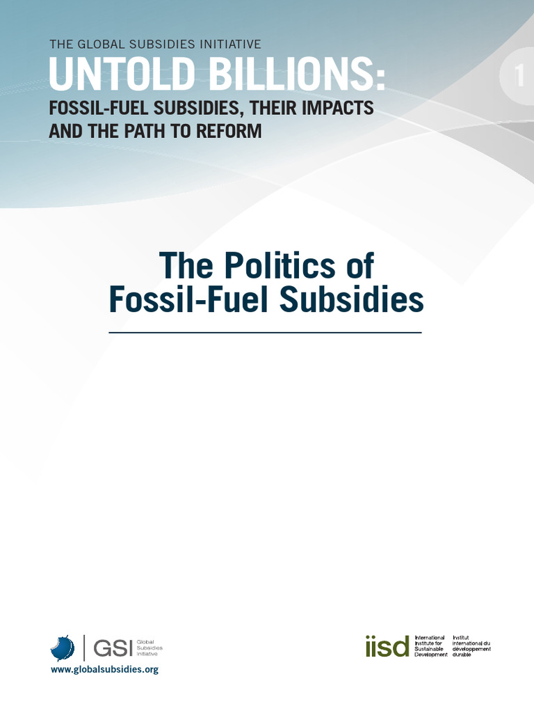 Politics of Fossil-Fuel Subsidies | PDF | Subsidy | Gasoline And Diesel ...