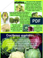 82 Fruits Vegetables 1