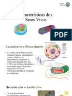 Características dos seres vivos