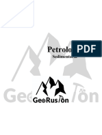 Petrología Sedimentaria - Georuston