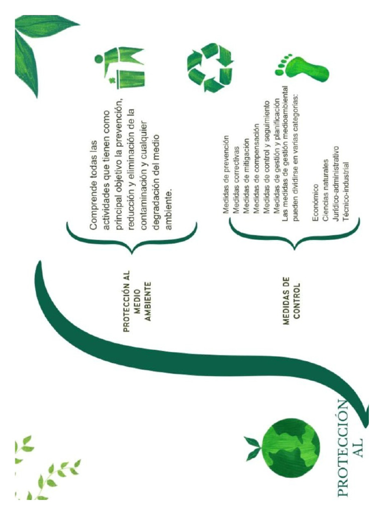 Cuidado Del Medio Ambiente | PDF