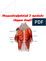 Upper Limb by DR - Jalal