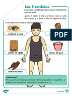 Pdf-5-Sentidos PRIMARIA - Compress