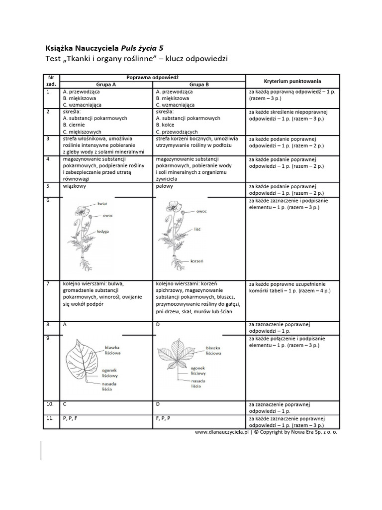 Tkanki Roślinne Test Klasa 5 test-tkanki-i-organy-roslinne-klucz-odpowiedzi | PDF