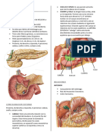 PANCREAS