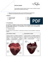 DisecciÃ N en El Corazã N