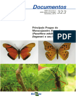 Documentos: Principais Pragas Do Maracujazeiro Amarelo (Passiflora Edulis F. Flavicarpa