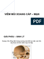 28.Viêm Mũi Xoang Cấp - Mạn