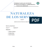 Unidad Iv Naturaleza de Los Servicios