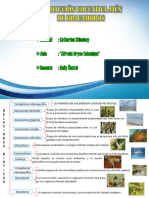 Esquemas de Llaves de Las Relaciones Bioticas Katherine Chinchay.