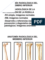 ANATOMÍARADIOLÓGICADELMIEMBROINFERIOR