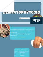 Dermatophytes 20240314 214707 0000